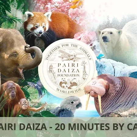 Penthouse Standing à